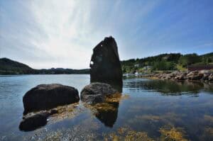 Wreckage in Conception Harbour, Newfoundland, showcasing historic ship remains partially submerged i.