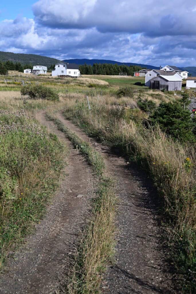 Dirt path leading to Woods Island with houses and greenery under cloudy sky.