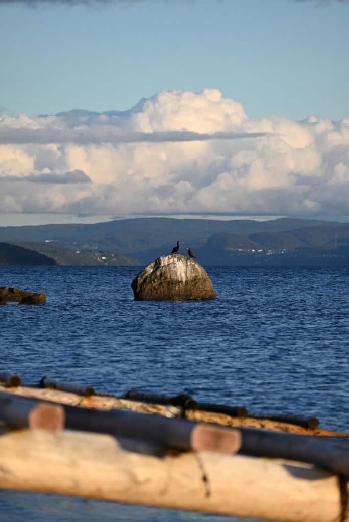 Woods Island with two birds perched on a large rock in the water.