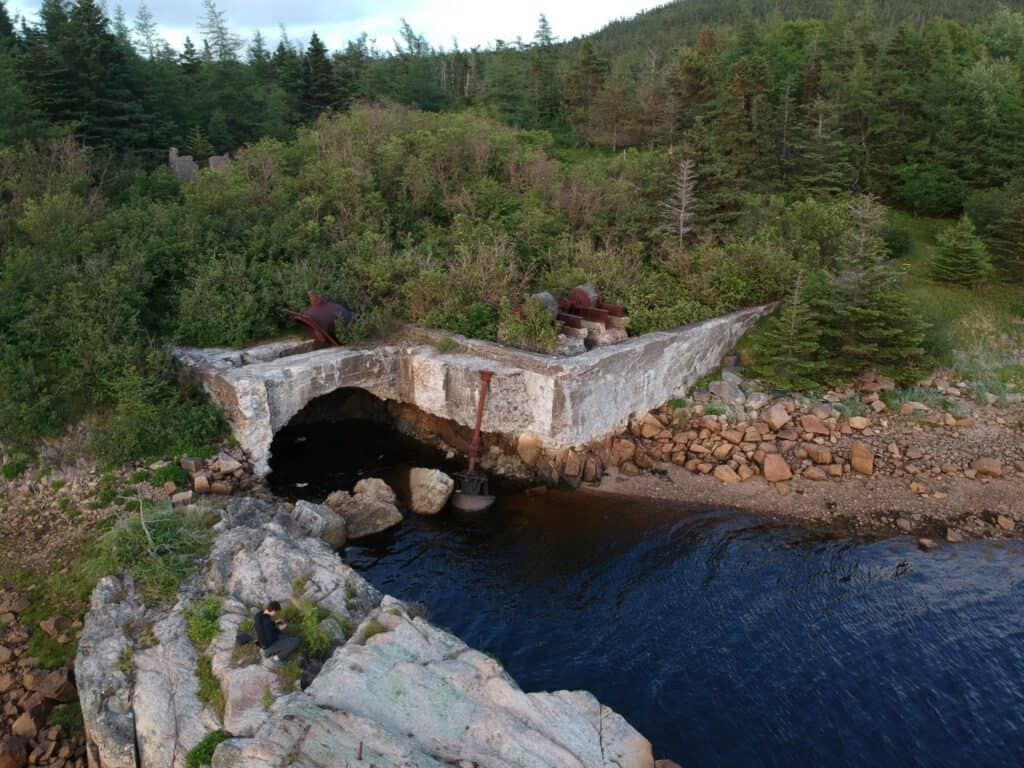 Abandoned Newfoundland pulp mill ruins overgrown with greenery along the Black River, showcasing historical 