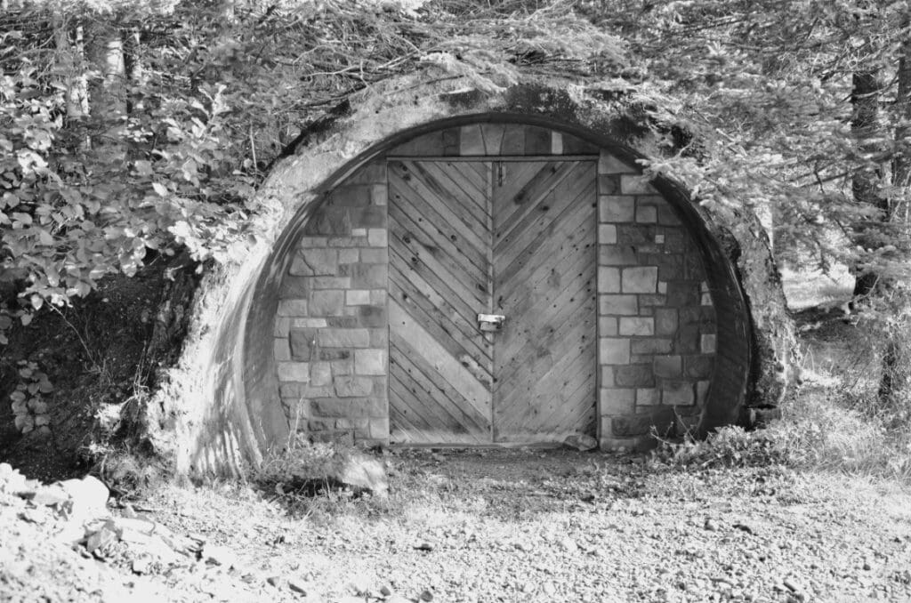 Mill entrance with wooden door in a concrete archway, surrounded by nature.