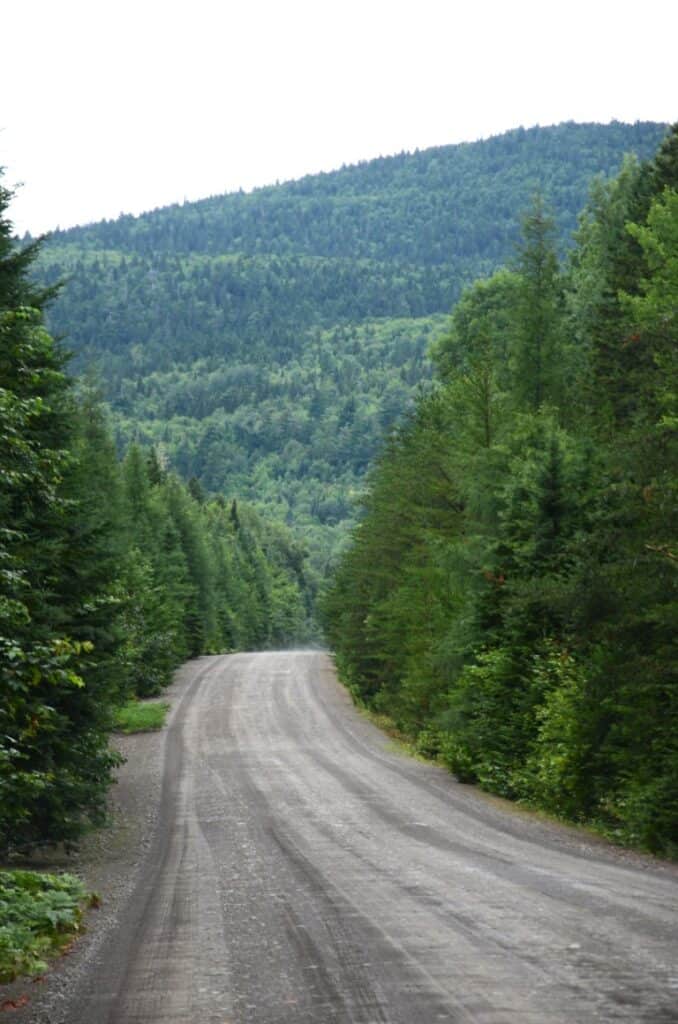 Scenic view of Mount Carleton, the highest peak in the Maritime Provinces, surrounded by lush green.