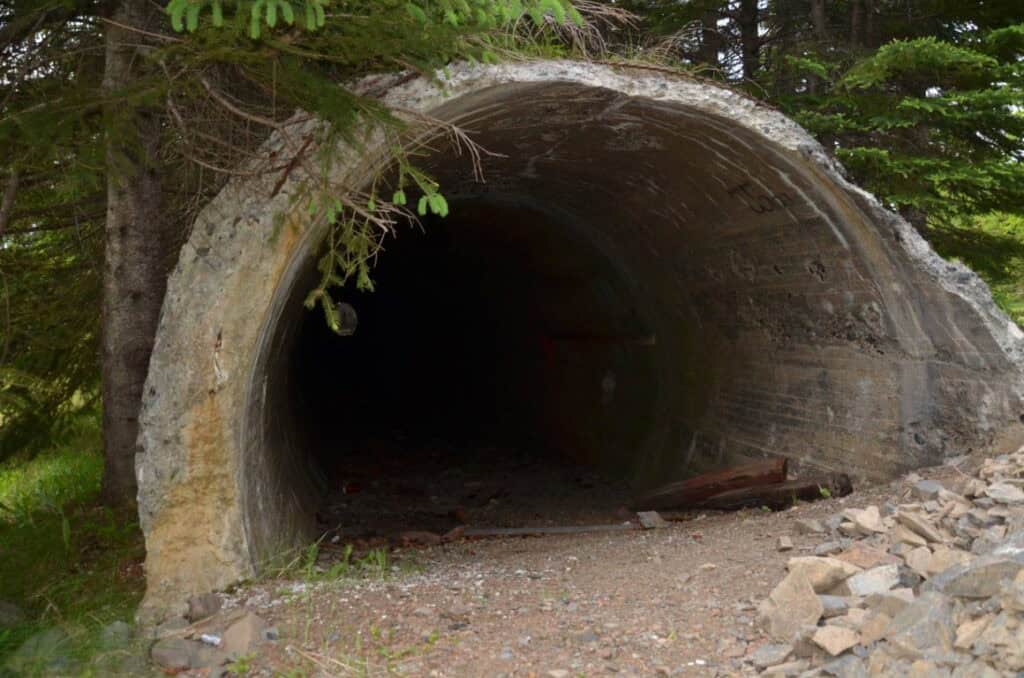 Old concrete tunnel entrance surrounded by trees and rocks.