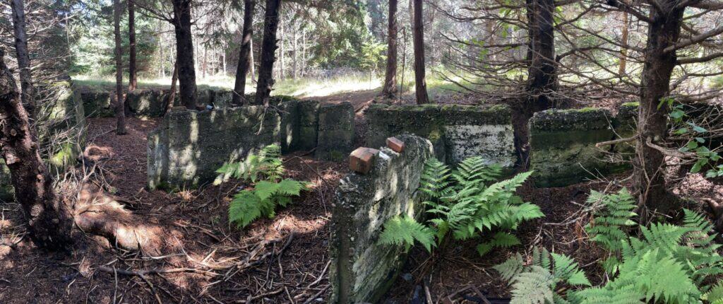 Ancient stone ruins at Sandy Point surrounded by lush forest and ferns.