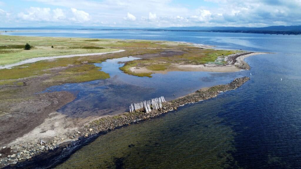 Scenic view of Sandy Point with marshlands and shoreline on a clear day.