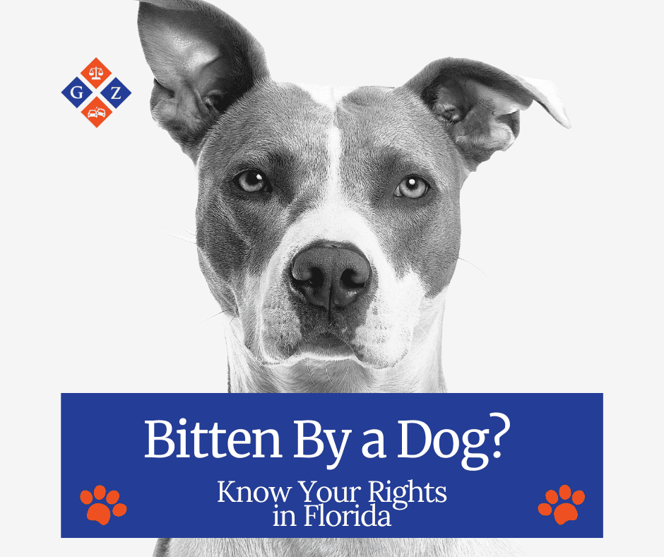 Dog bite legal advice, Florida personal injury lawyer, dog bite rights Florida, law firm specializing in dog bite cases, Glassman & Zissimopulos law firm, dog bite injury legal support, attorney for dog bite victims Florida, legal help for dog attacks, expert legal counsel for dog bites, personal injury law firm in Florida.