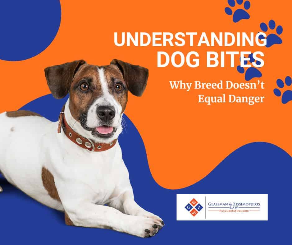 Dog Bite Prevention and Breed Danger Awareness | Glassman & Zissimopulos Law Firm.