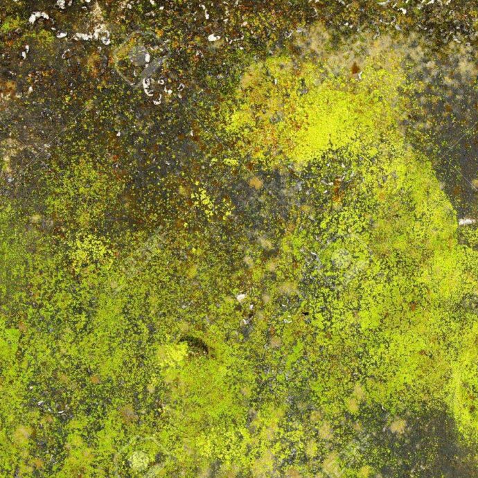 grass grunge