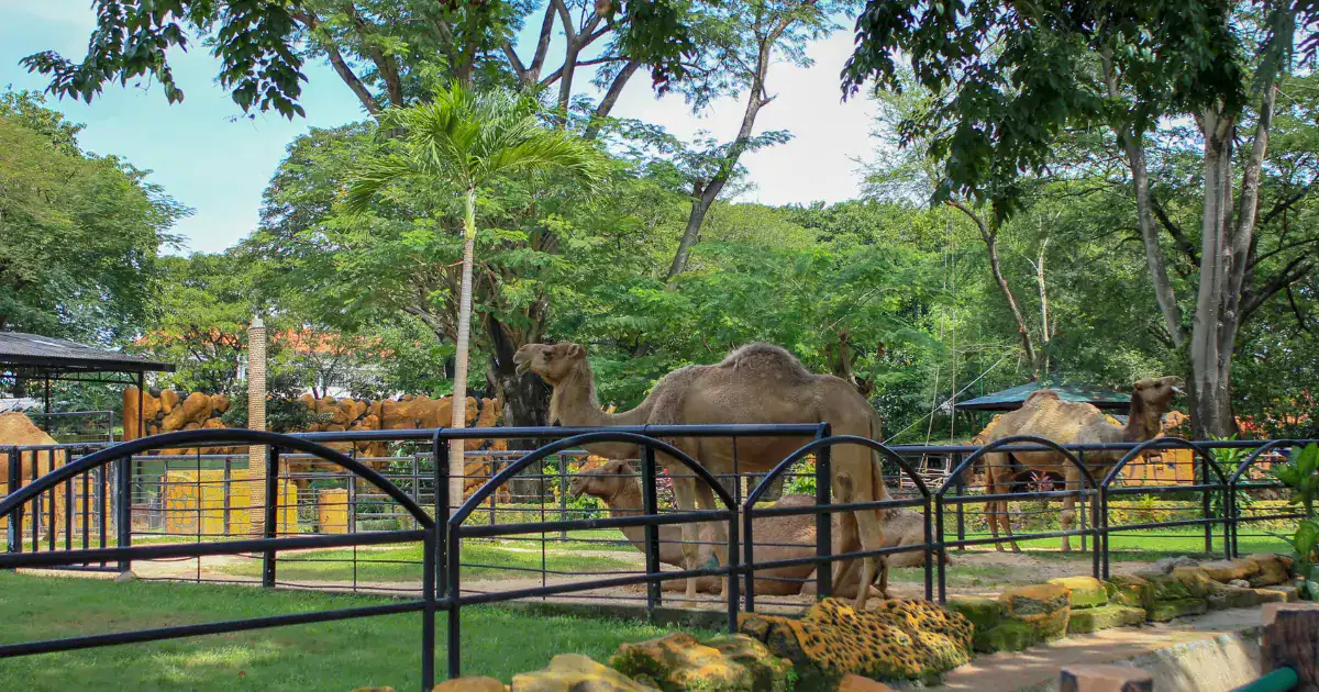 Philadelphia Zoo