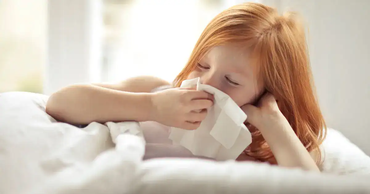 5 Best Apps & Websites to Track Pollen Count Near You