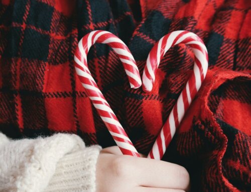 Il Natale di Avis Barbiano