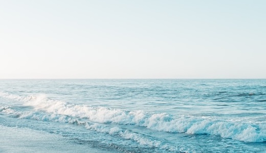 mfcs120【のあぴ＆もかぴ】｜百仁花｜羽月乃蒼