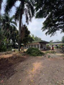 whatsapp image 2025 09 29 at 12.48.41