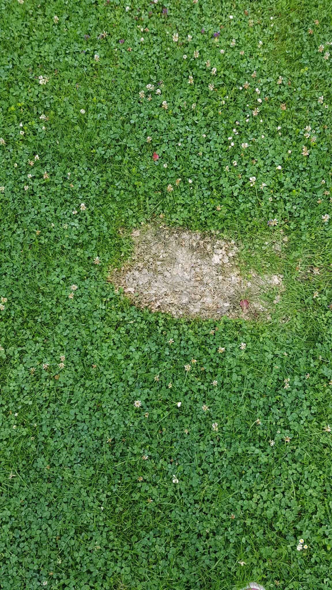 brunnenrohr lösen klemmt verkeilt