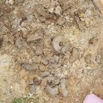 Aushub Brunnen lehm ton kies bohren