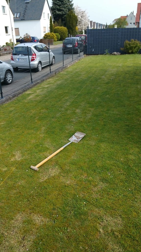 Bambushecke pflanzen Fargesia rufa Hecke Bambus