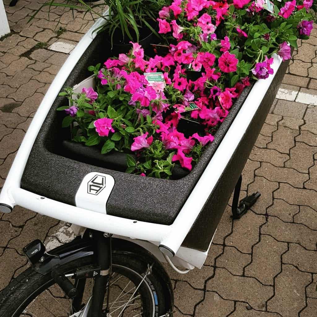 Lastenrad Zweirad oder Dreirad