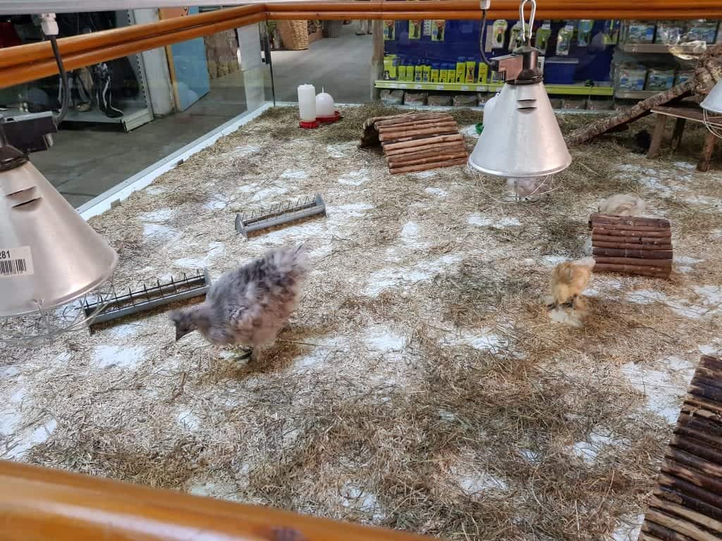 Zoo Zajac größte Zoohandlung der Welt