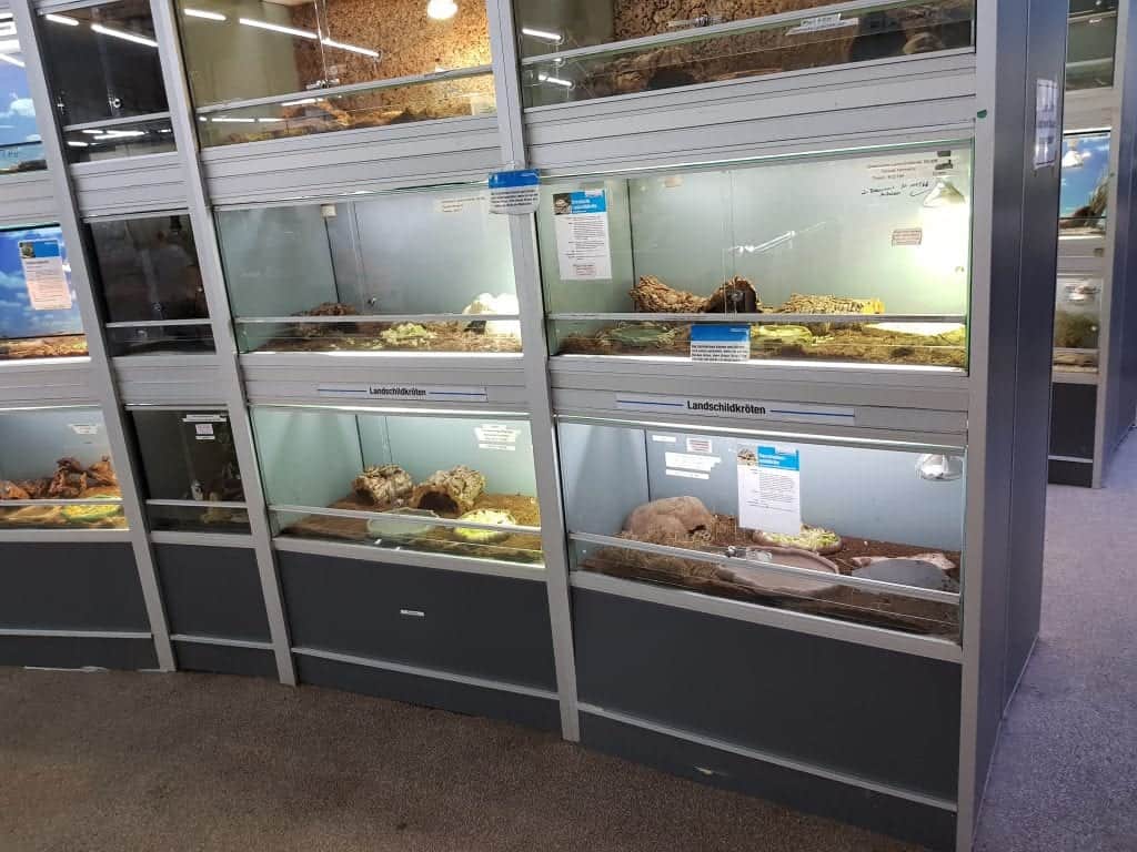 Zoo Zajac größte Zoohandlung der Welt