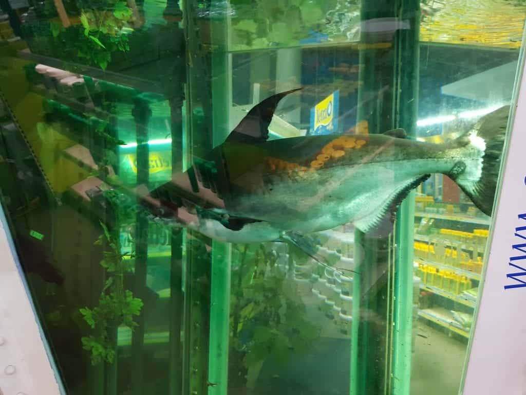 Zoo Zajac größte Zoohandlung der Welt