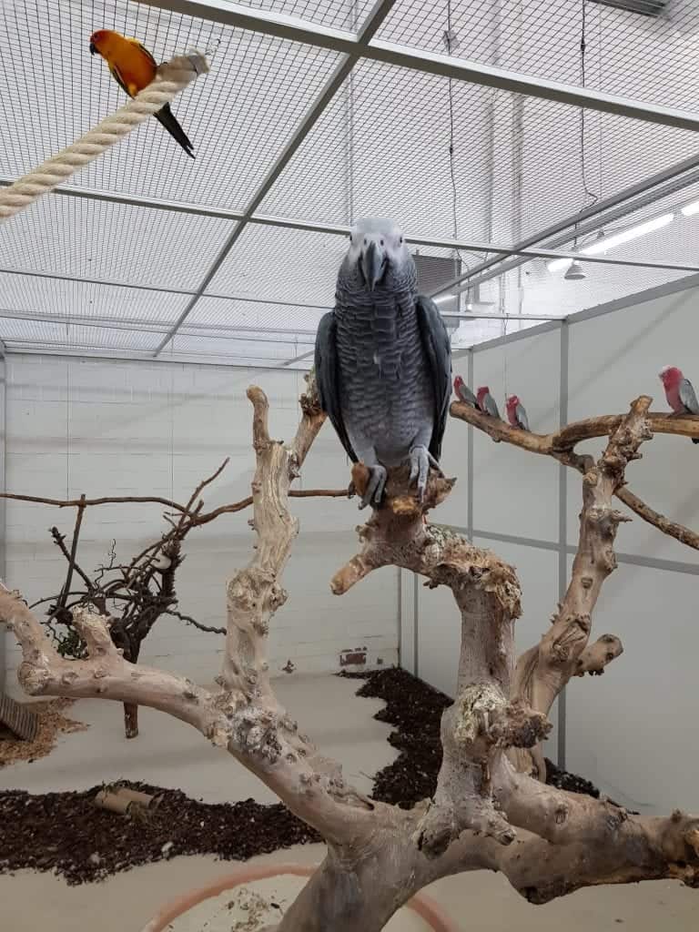 Zoo Zajac größte Zoohandlung der Welt