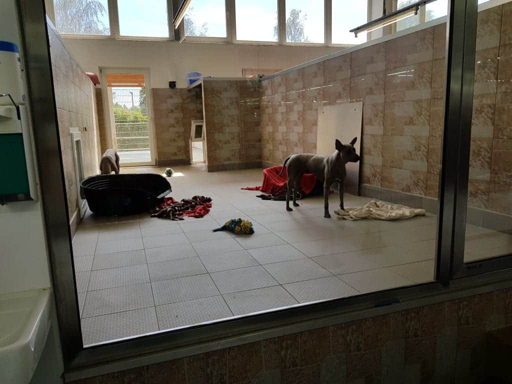 Zoo Zajac größte Zoohandlung der Welt