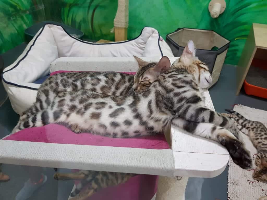 Zoo Zajac größte Zoohandlung der Welt