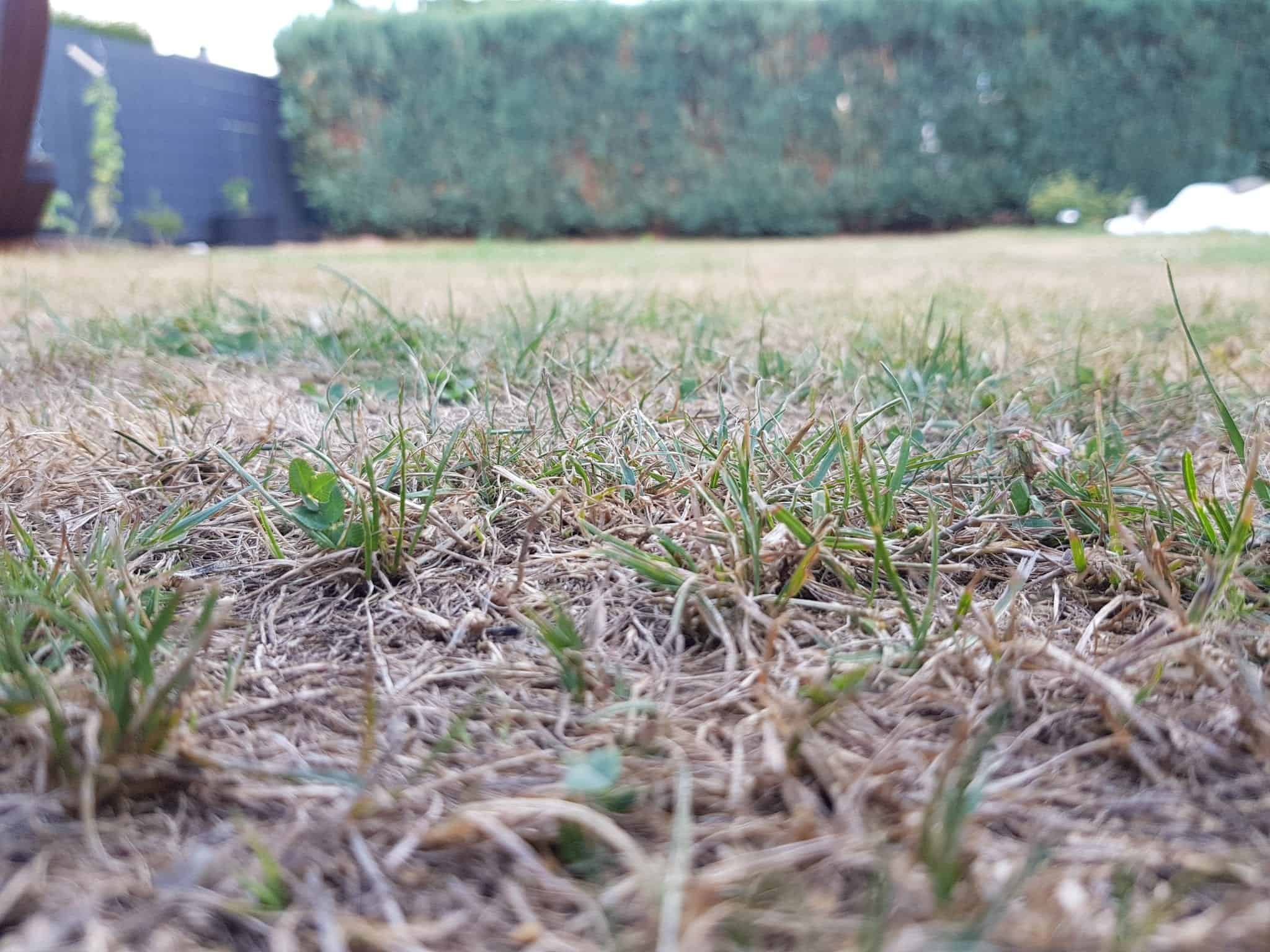 Brunnen bohren von Hand