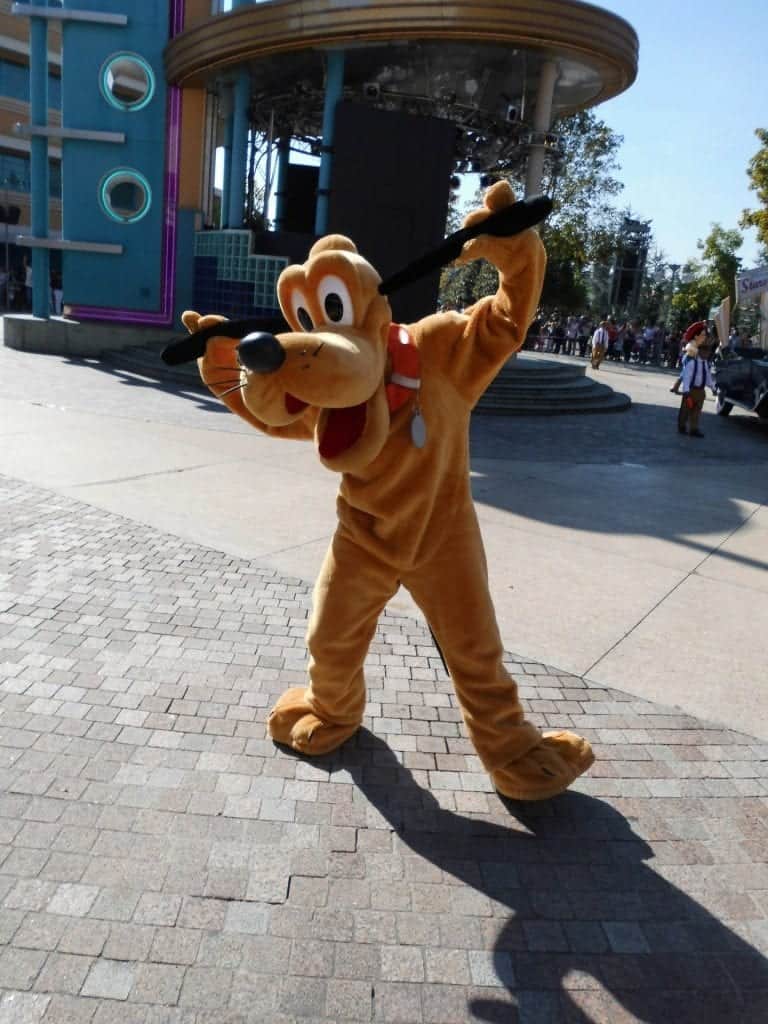 disneyland paris mit hund hundepension paris 