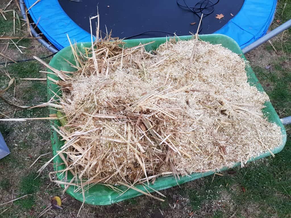 Miscanthus Häcksel selber herstellen