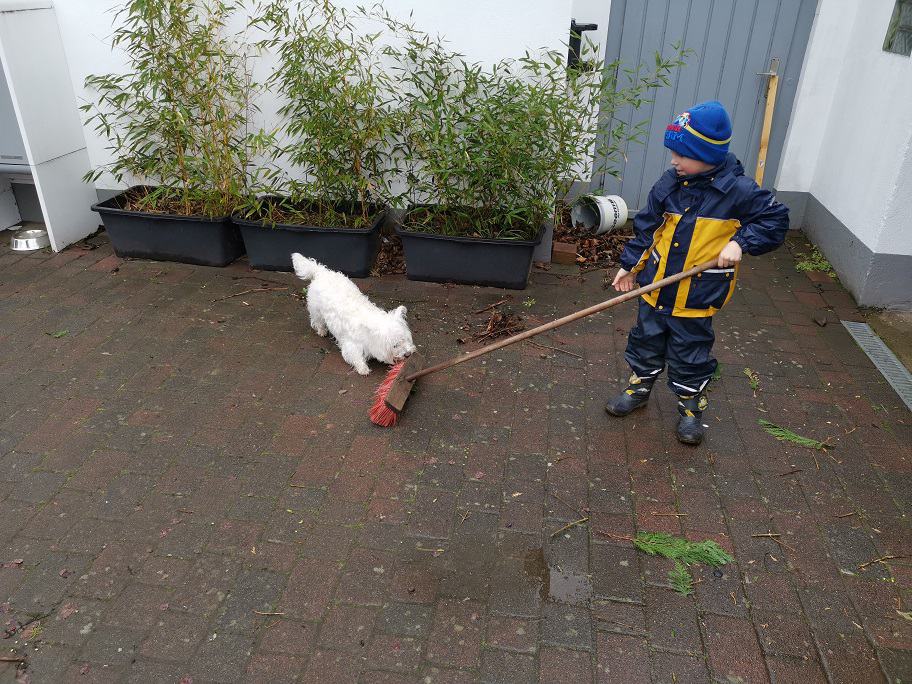 Zaunerhöhung Sichtschutz