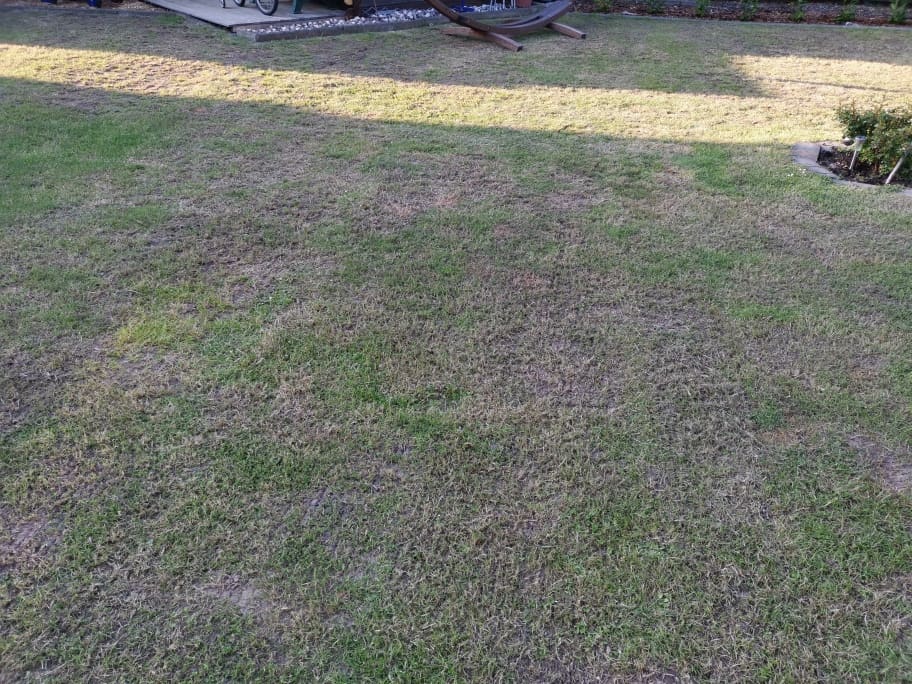 Frühlingskur für den Rasen