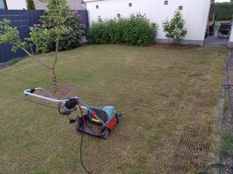 Frühlingskur für den Rasen