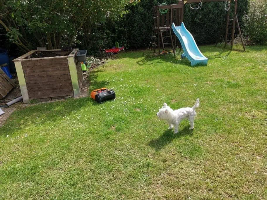 Mähroboter installieren