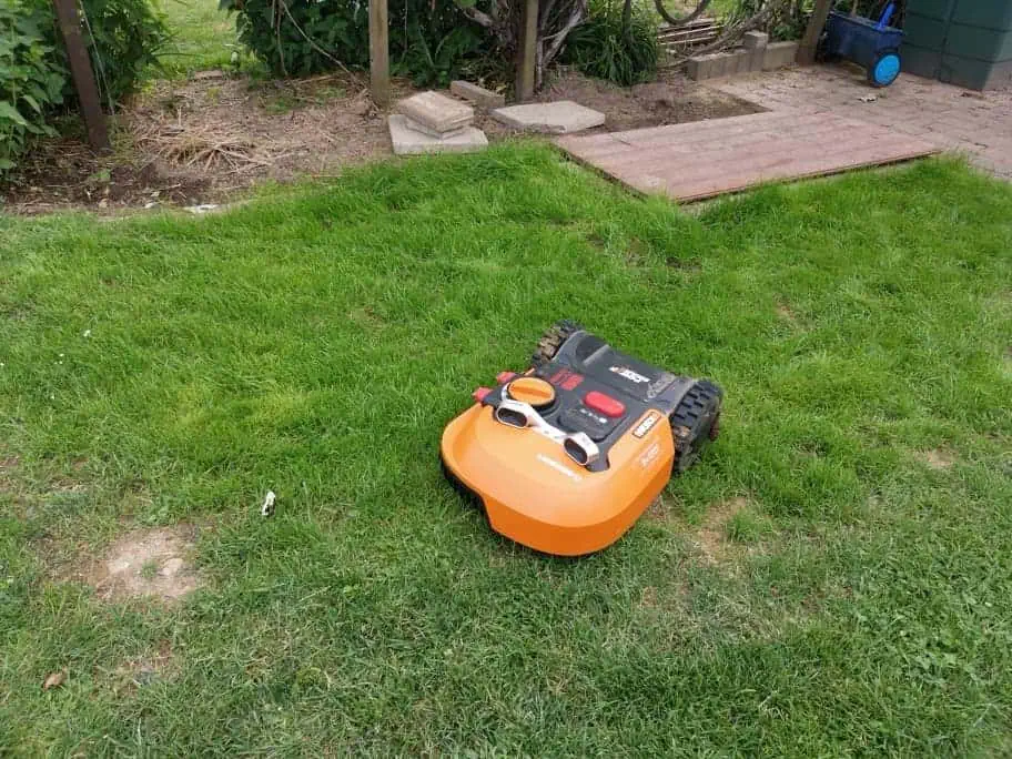 IMG_20190620_182308_resized_20190715_092721972