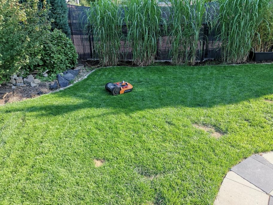 Rasenroboter bei Hitze