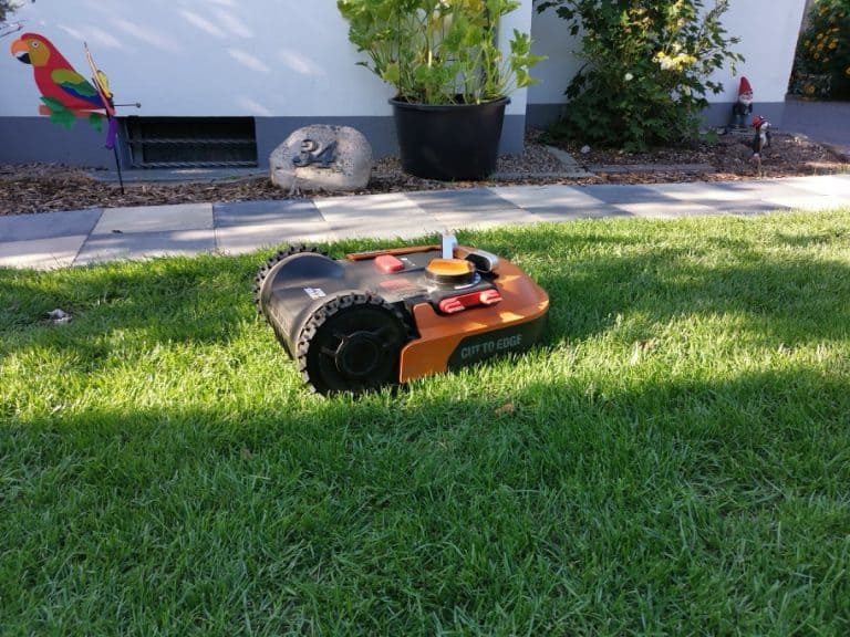 Rasenroboter bei Hitze5