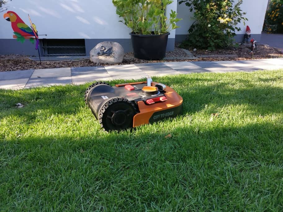 Rasenroboter bei Hitze5