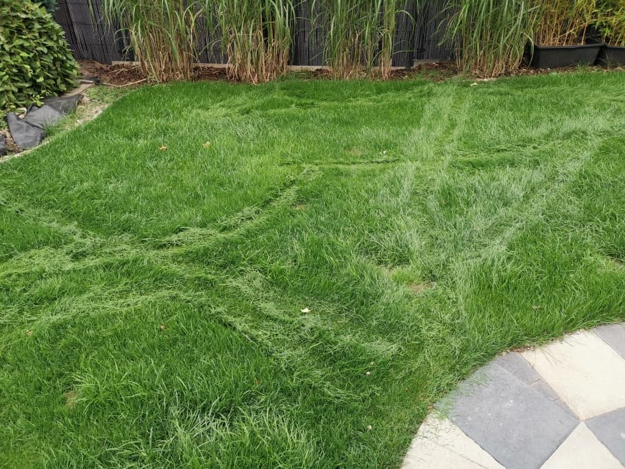 Fahrspuren Mähroboter