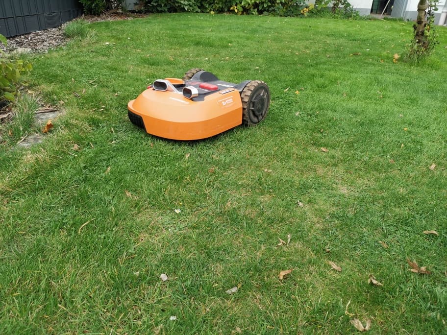 Mähroboter im Herbst05