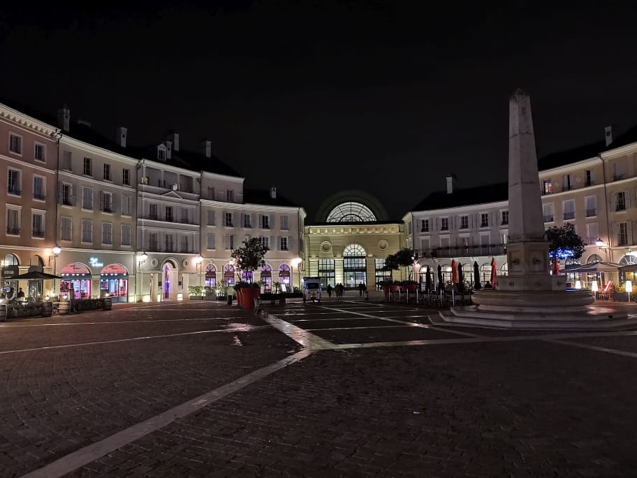 Disneyland Hotel mit Hund27