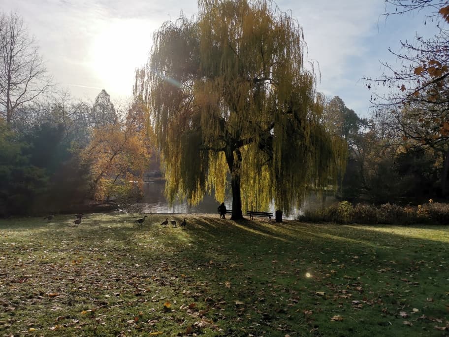 Stadtpark Gelsenkirchen