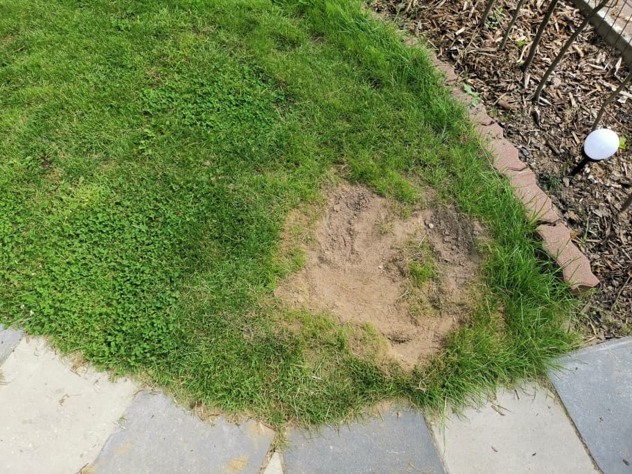 Mähroboter Problemstelle