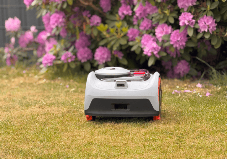 Prime Day Mähroboter