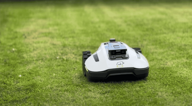 Prime Day Mähroboter