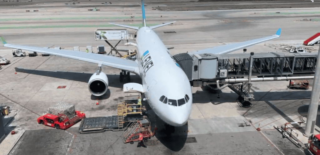 Level Airlines Erfahrungen