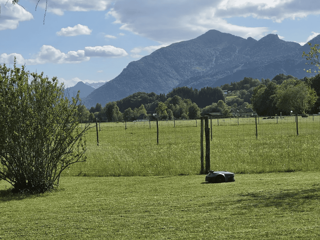 mova viax 500 erfahrungen test review