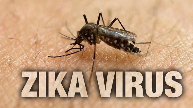 Zika Virus 2016