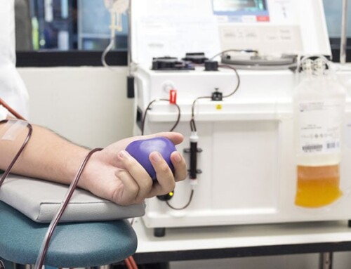 Avis Correggio, al via le donazioni di plasma