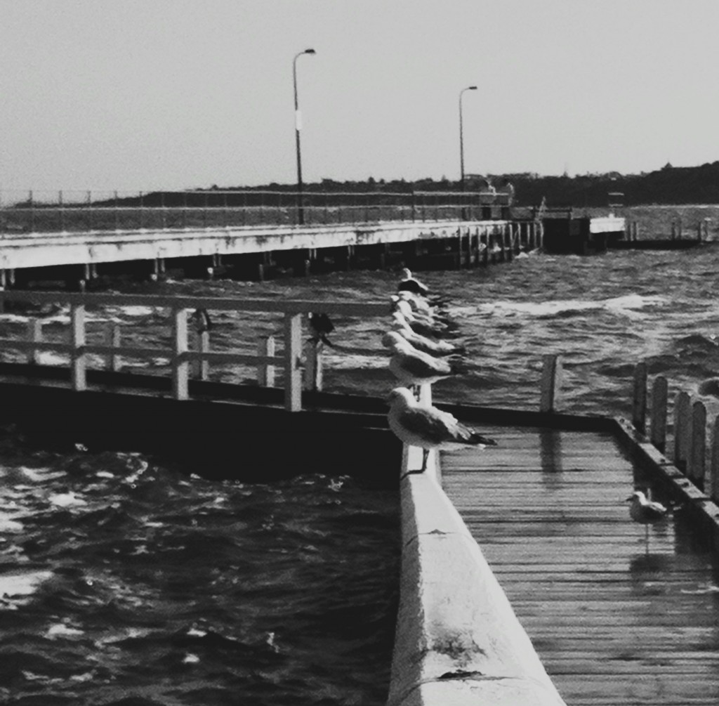 The fishing club The fishing club